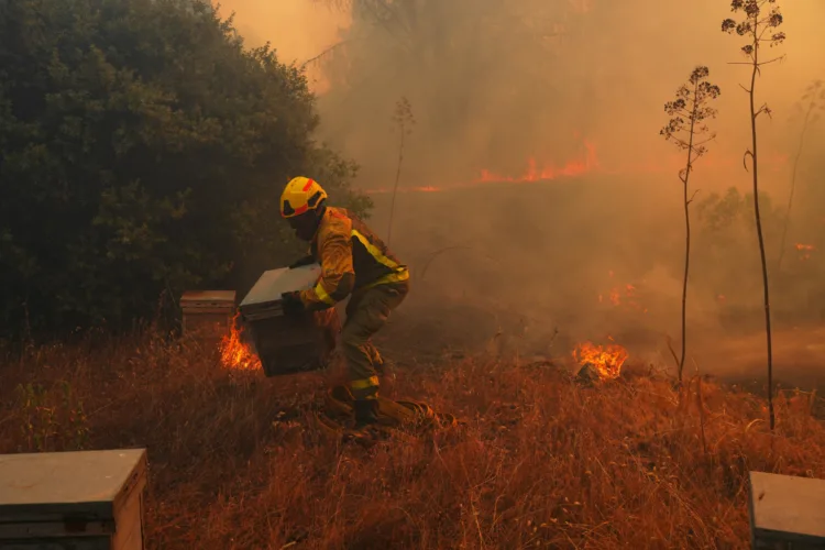 UN, scientists warn that strong El Nino will add fuel to ‘a planet already on fire’